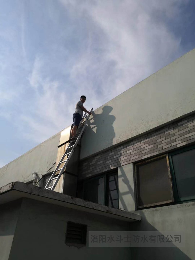 别墅渗漏修缮案例 (2)