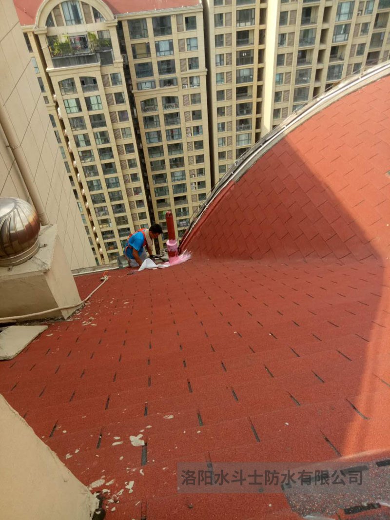 斜坡屋面维修案例 (13)