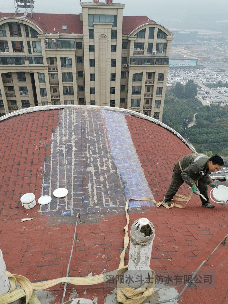 斜坡屋面维修案例 (25)