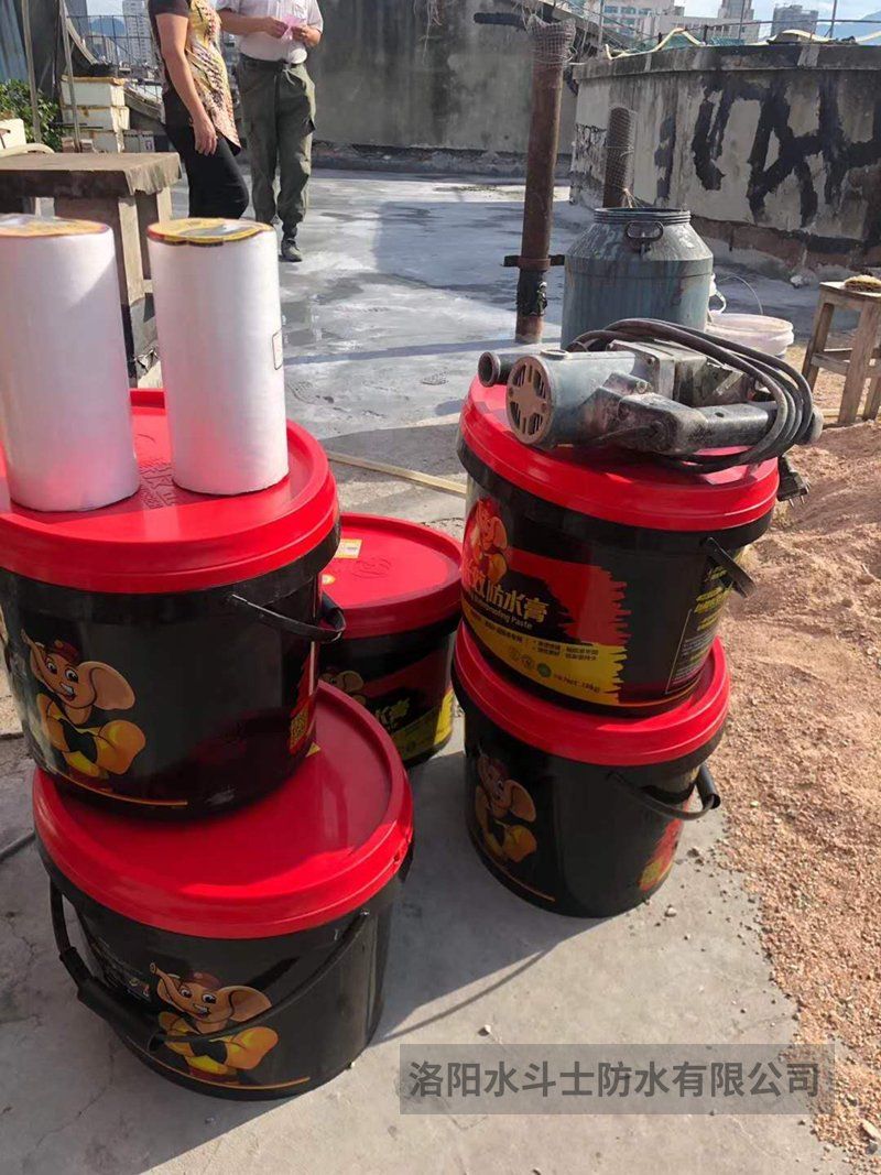 别墅渗漏修缮案例 (13)