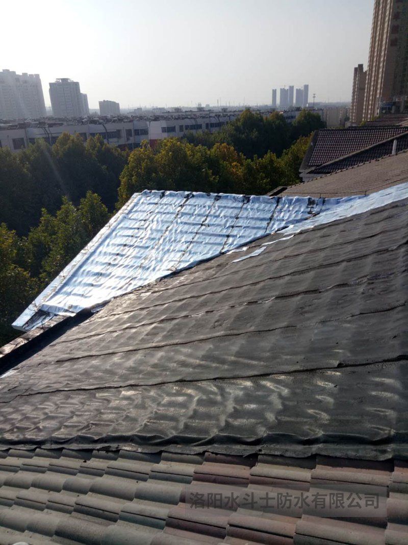 斜坡屋面维修案例 (17)