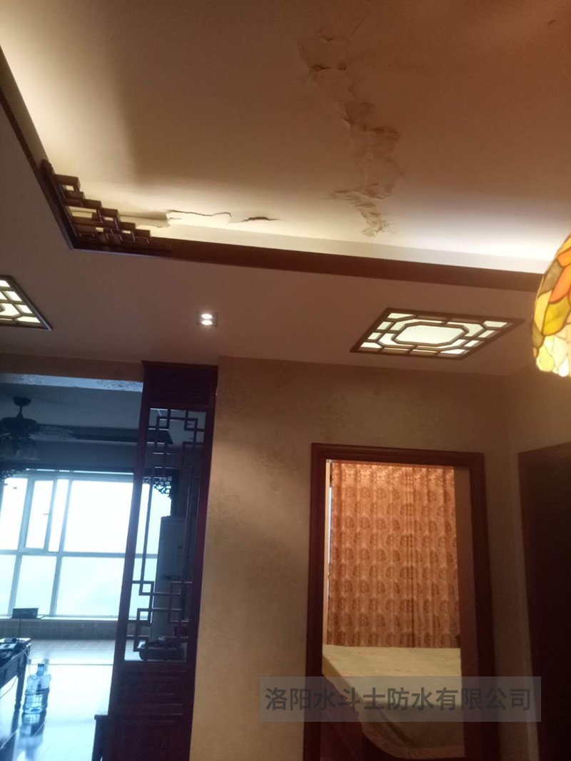 别墅渗漏修缮案例 (42)