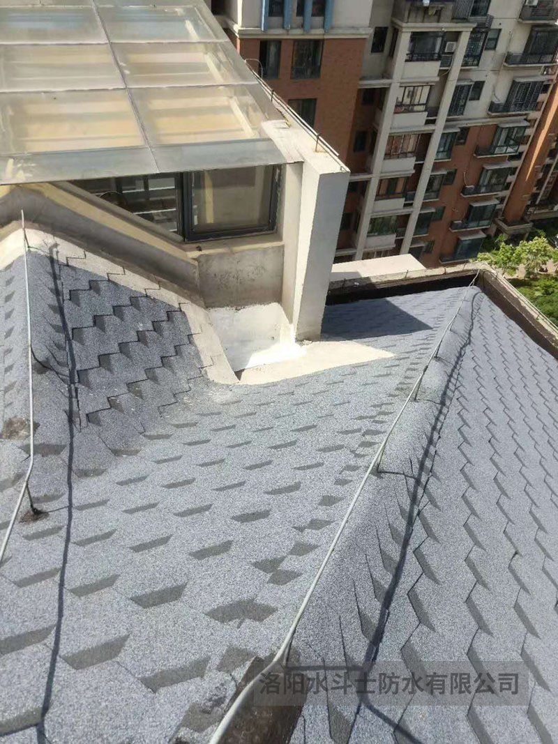 斜坡屋面维修案例 (6)