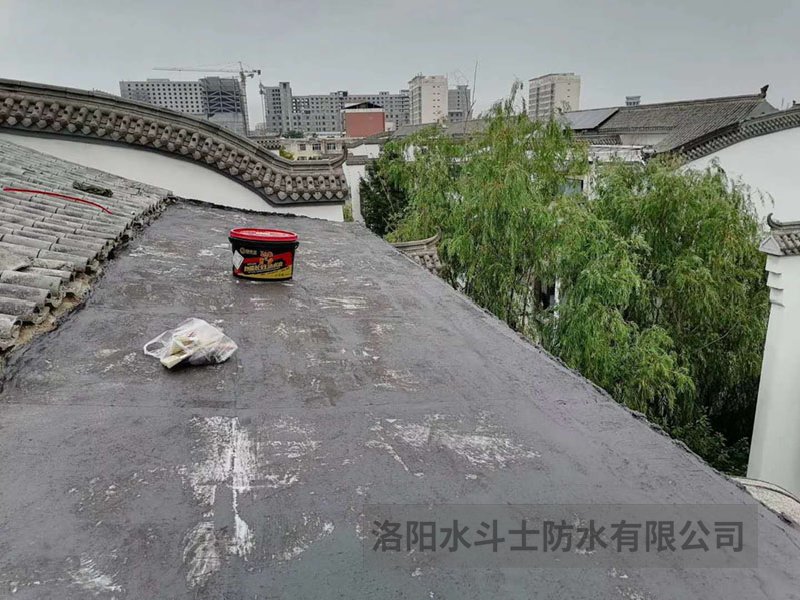 斜坡屋面维修案例 (5)