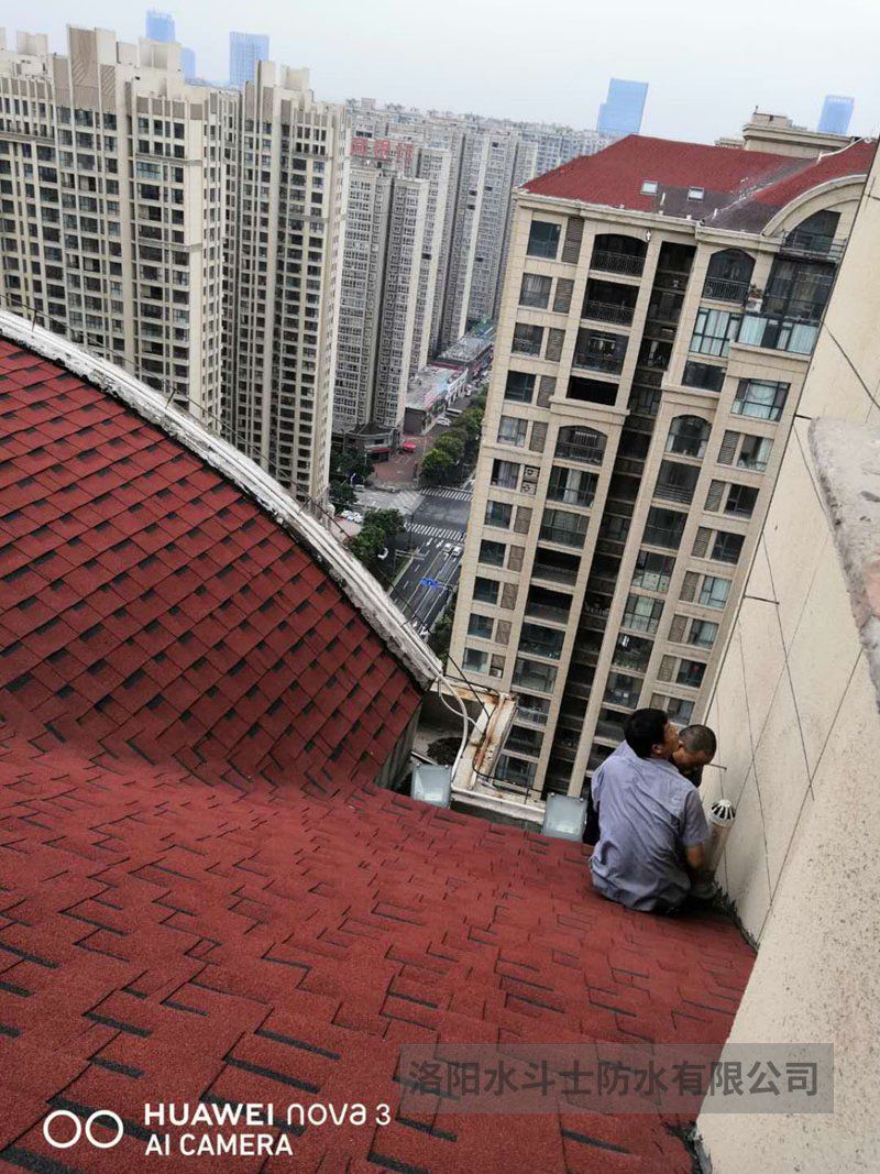 斜坡屋面维修案例 (18)