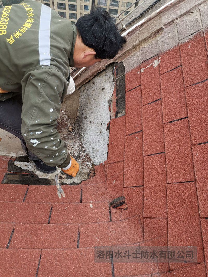 斜坡屋面维修案例 (4)