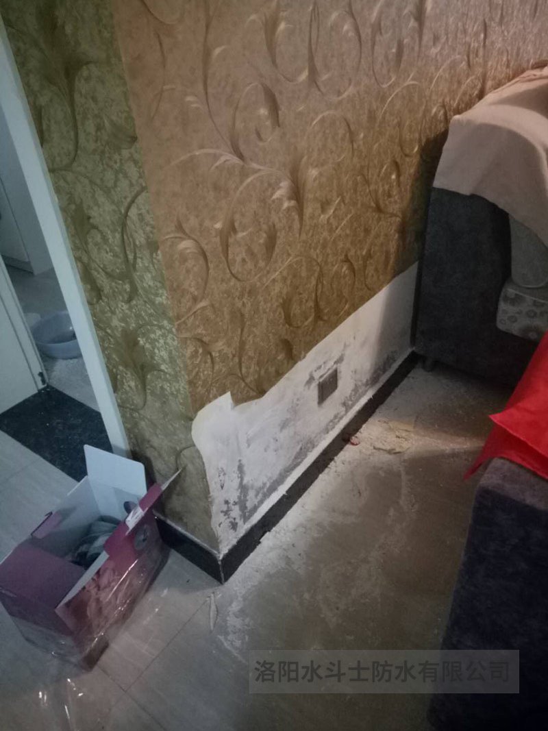 卫生间渗漏维修案例 (24)