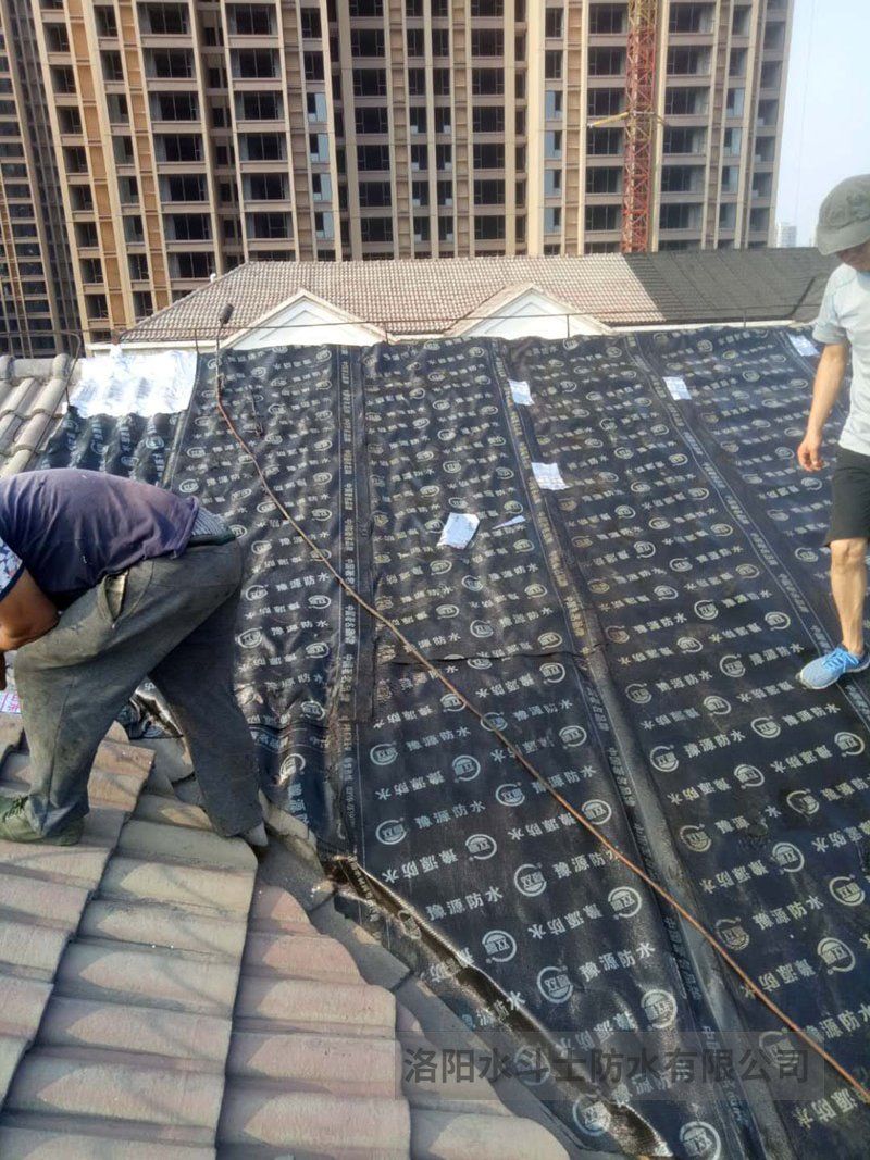 斜坡屋面维修案例 (16)