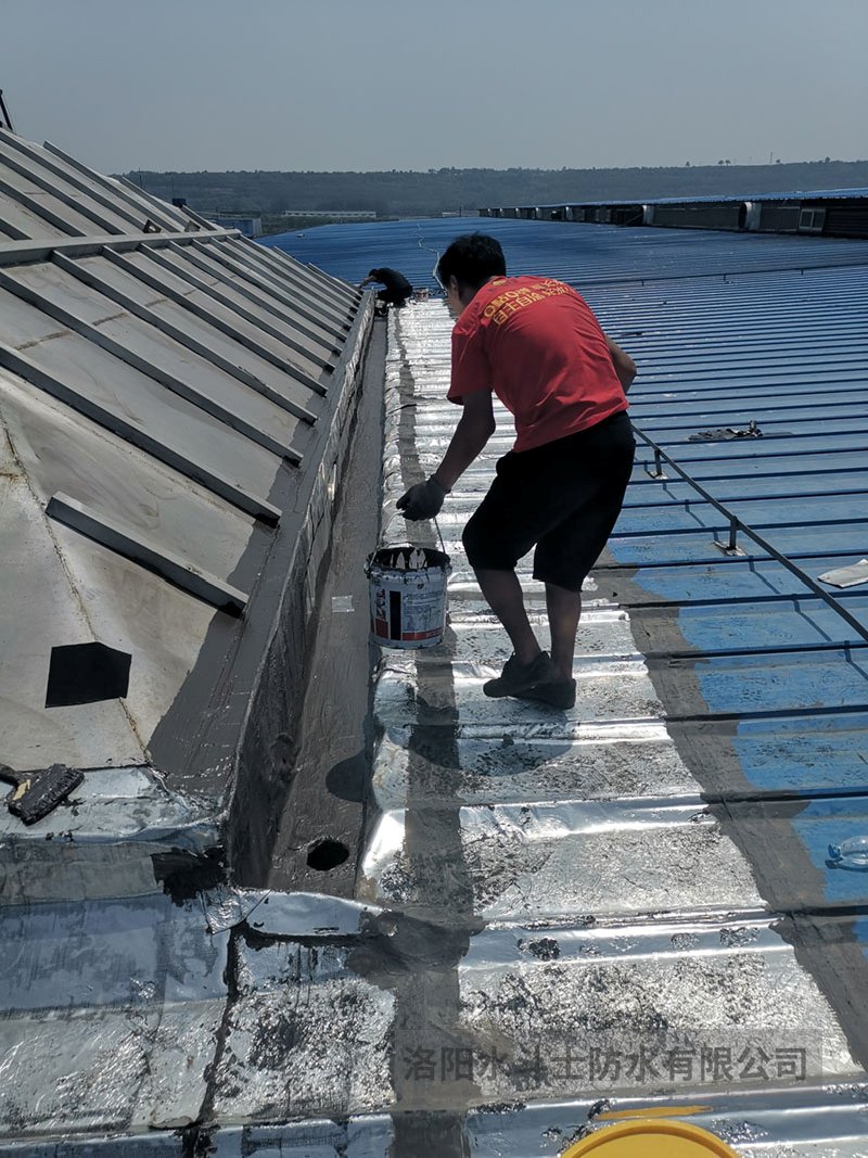 斜坡屋面维修案例 (15)