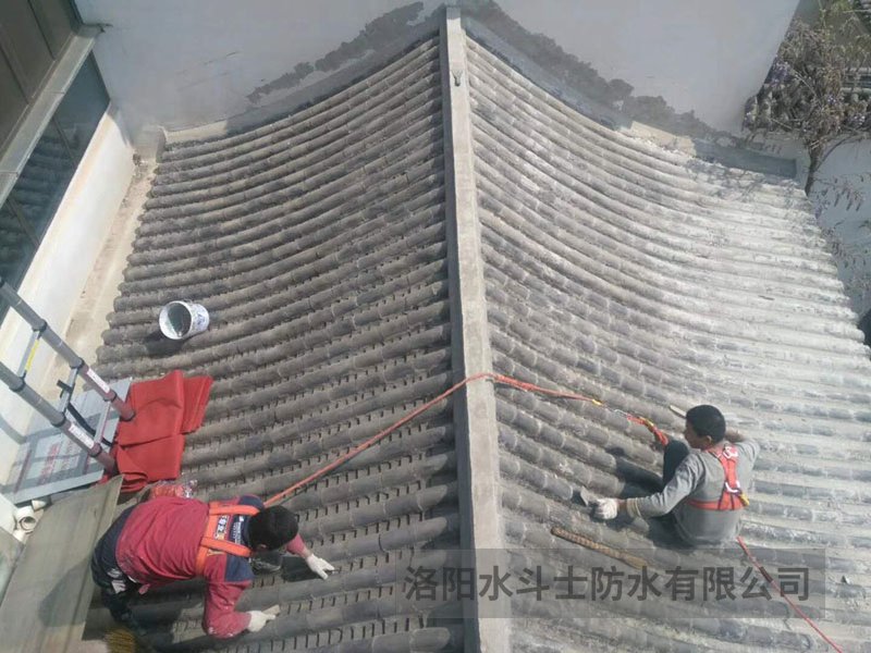 斜坡屋面维修案例 (11)