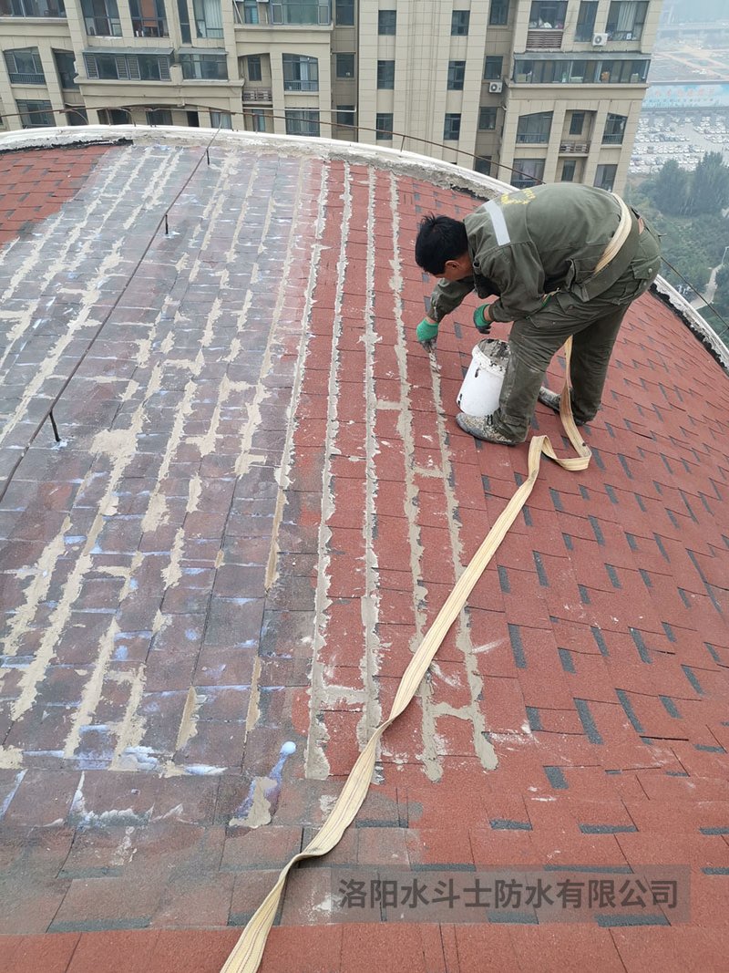 斜坡屋面维修案例 (24)