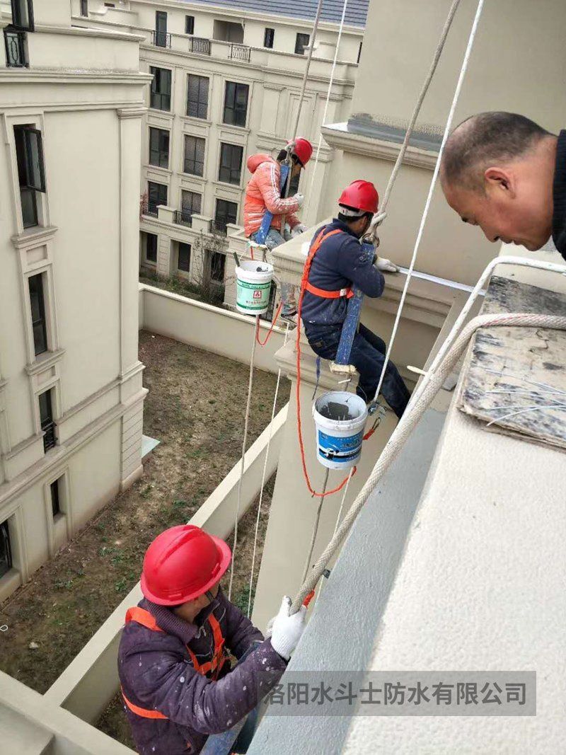 斜坡屋面维修案例 (2)