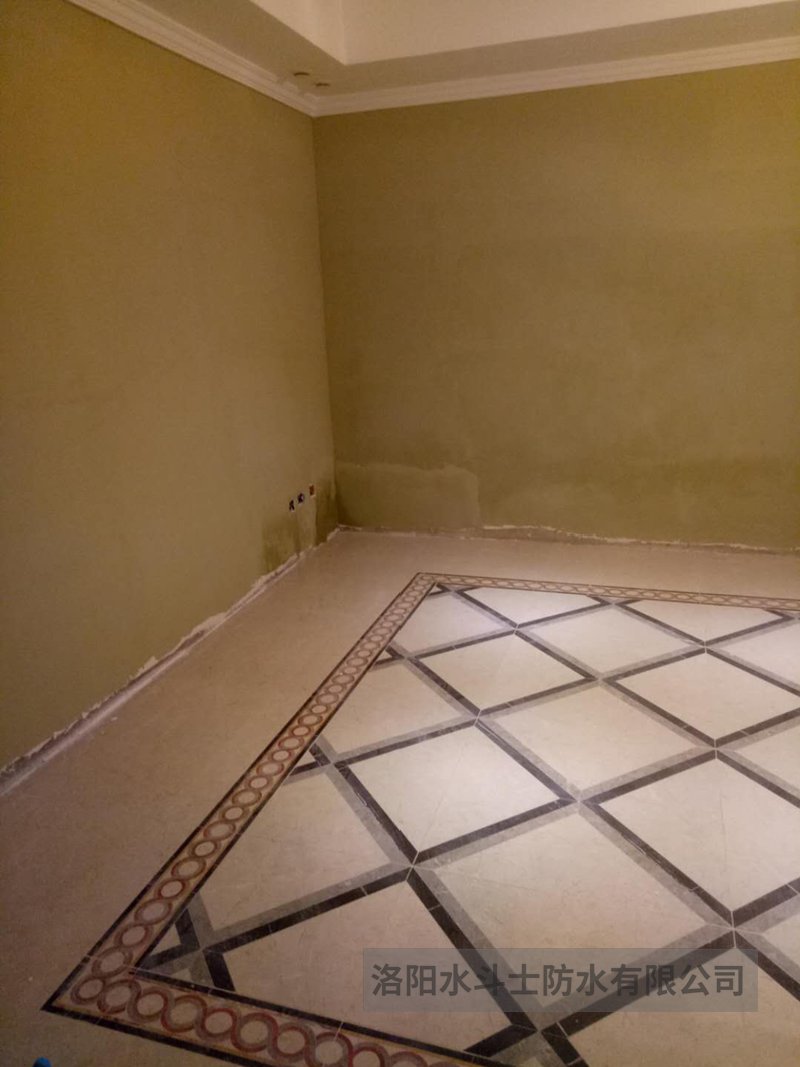 别墅渗漏修缮案例 (25)