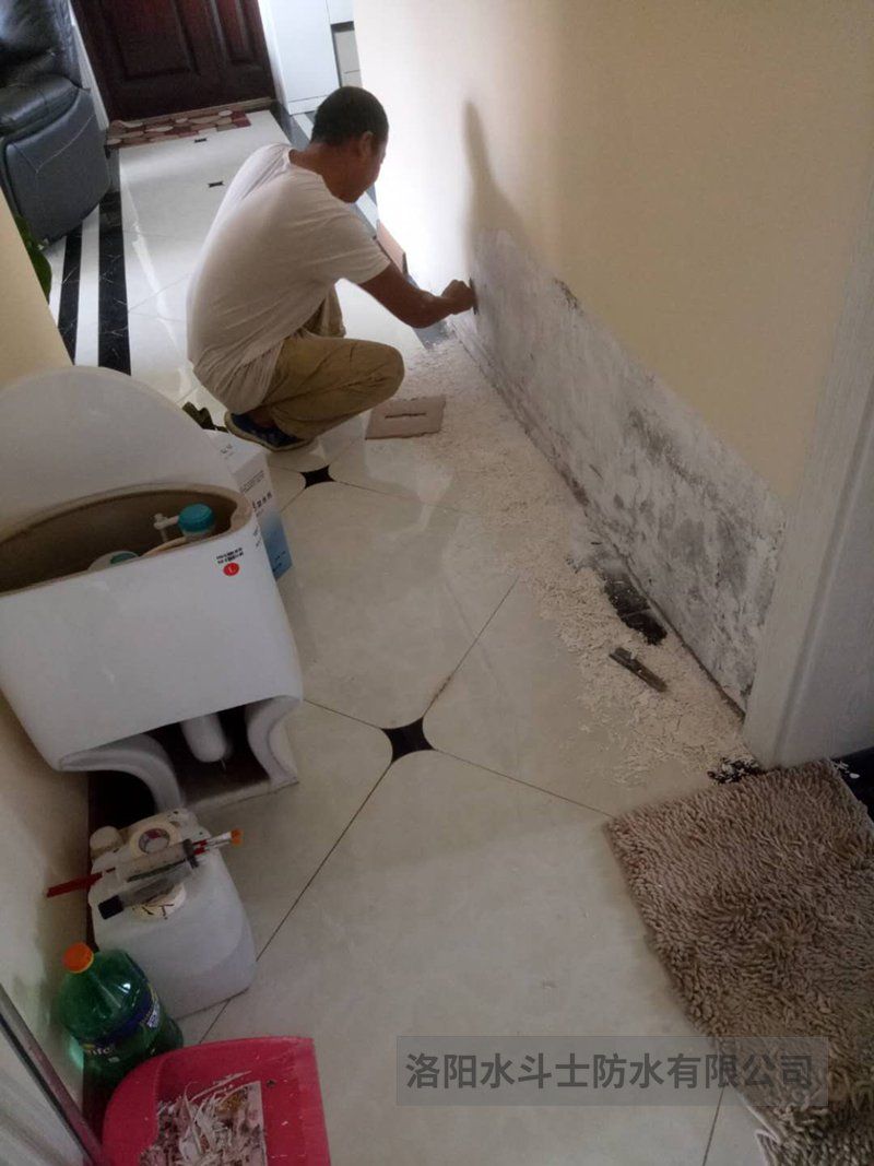 别墅渗漏修缮案例 (5)