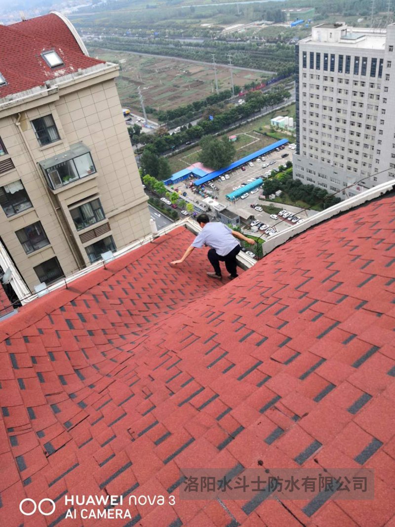 斜坡屋面维修案例 (14)