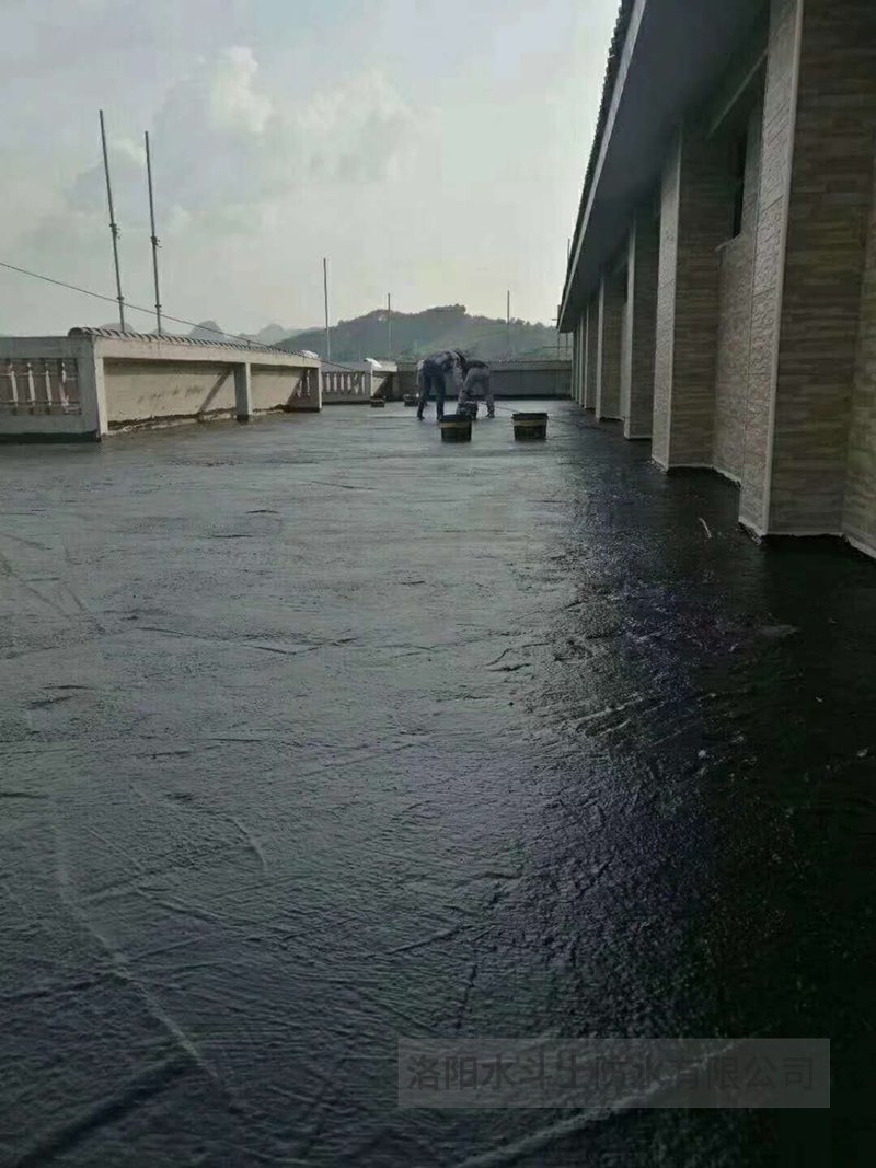 别墅渗漏修缮案例 (43)