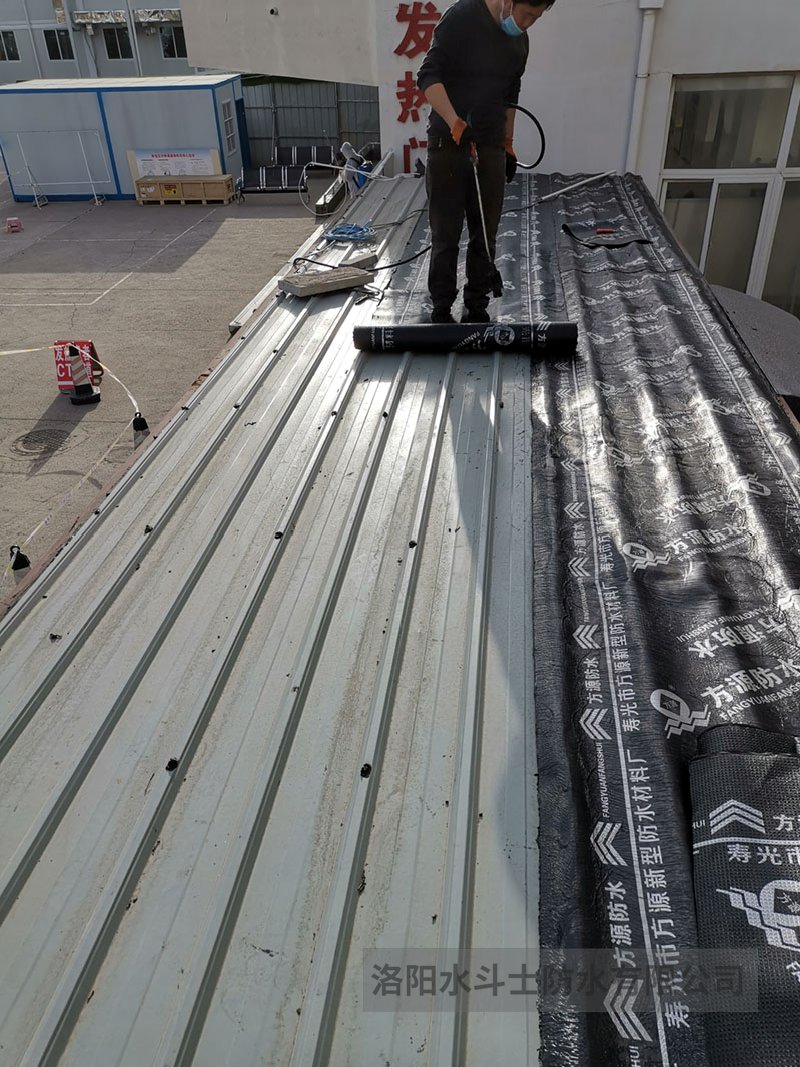 斜坡屋面维修案例 (26)