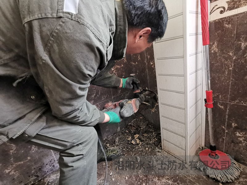 斜坡屋面维修案例 (30)