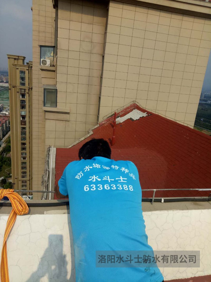 斜坡屋面维修案例 (9)