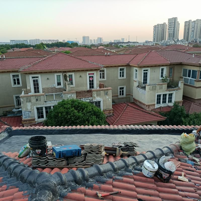 别墅渗漏修缮案例 (6)