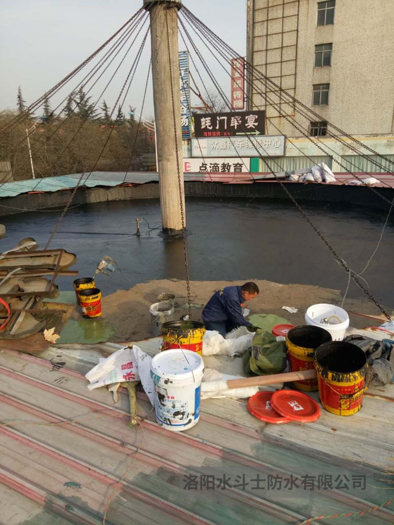 斜坡屋面维修案例 (29)