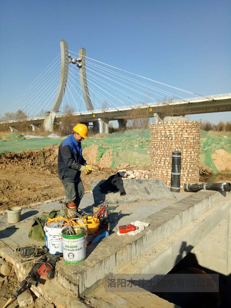 疑难堵漏案例 (22)