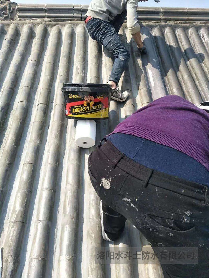 斜坡屋面维修案例 (3)