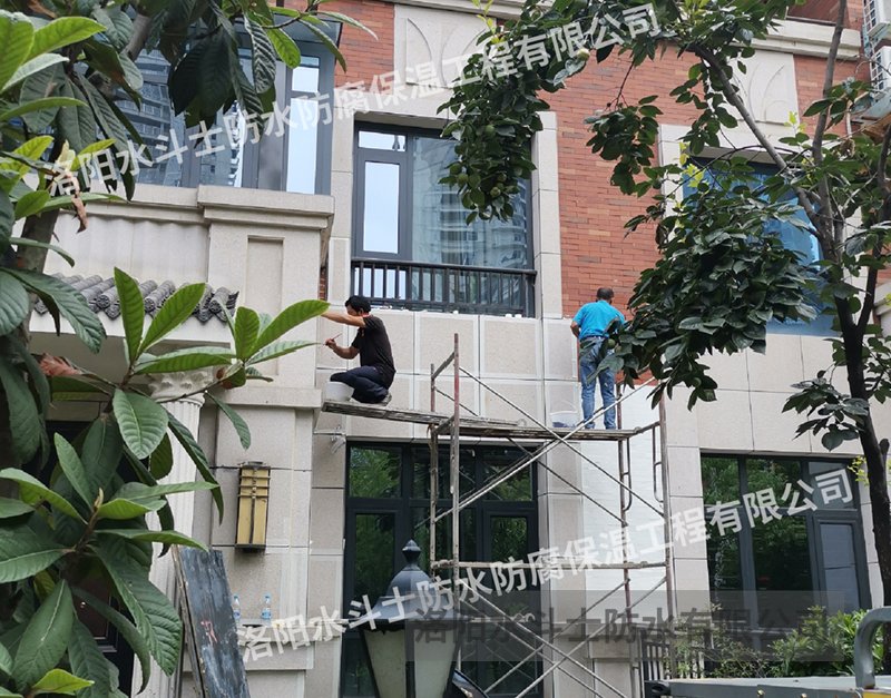 别墅渗漏修缮案例