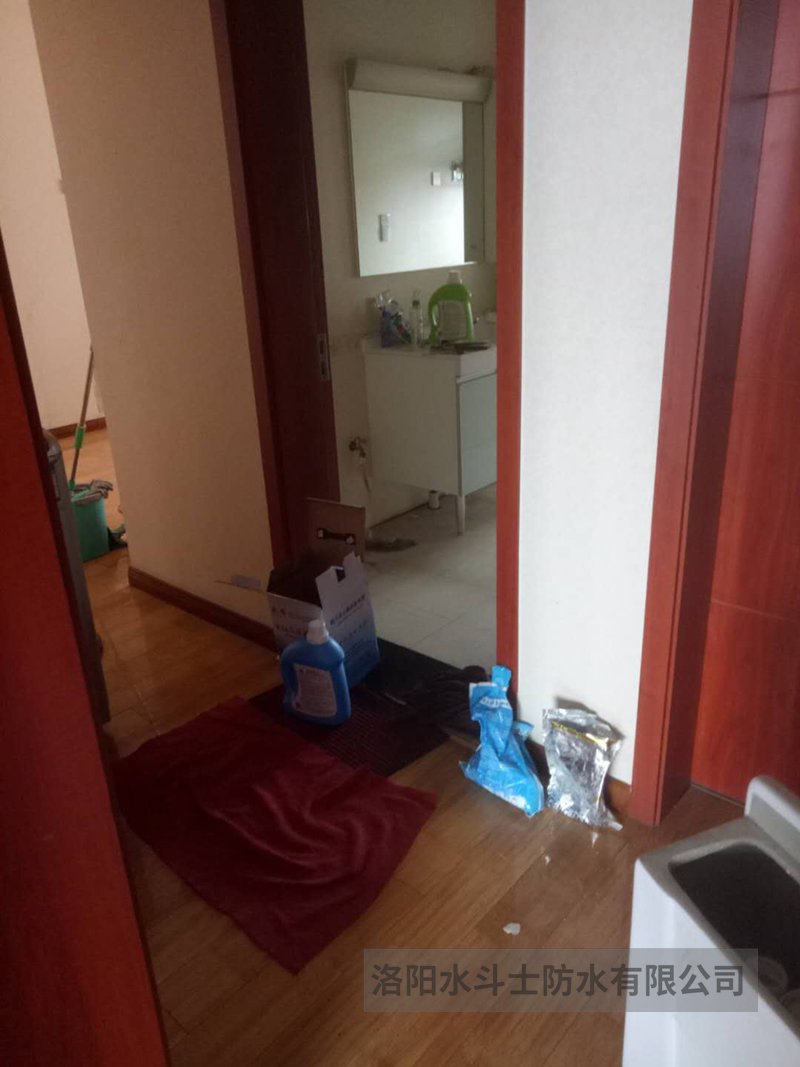 别墅渗漏修缮案例 (39)